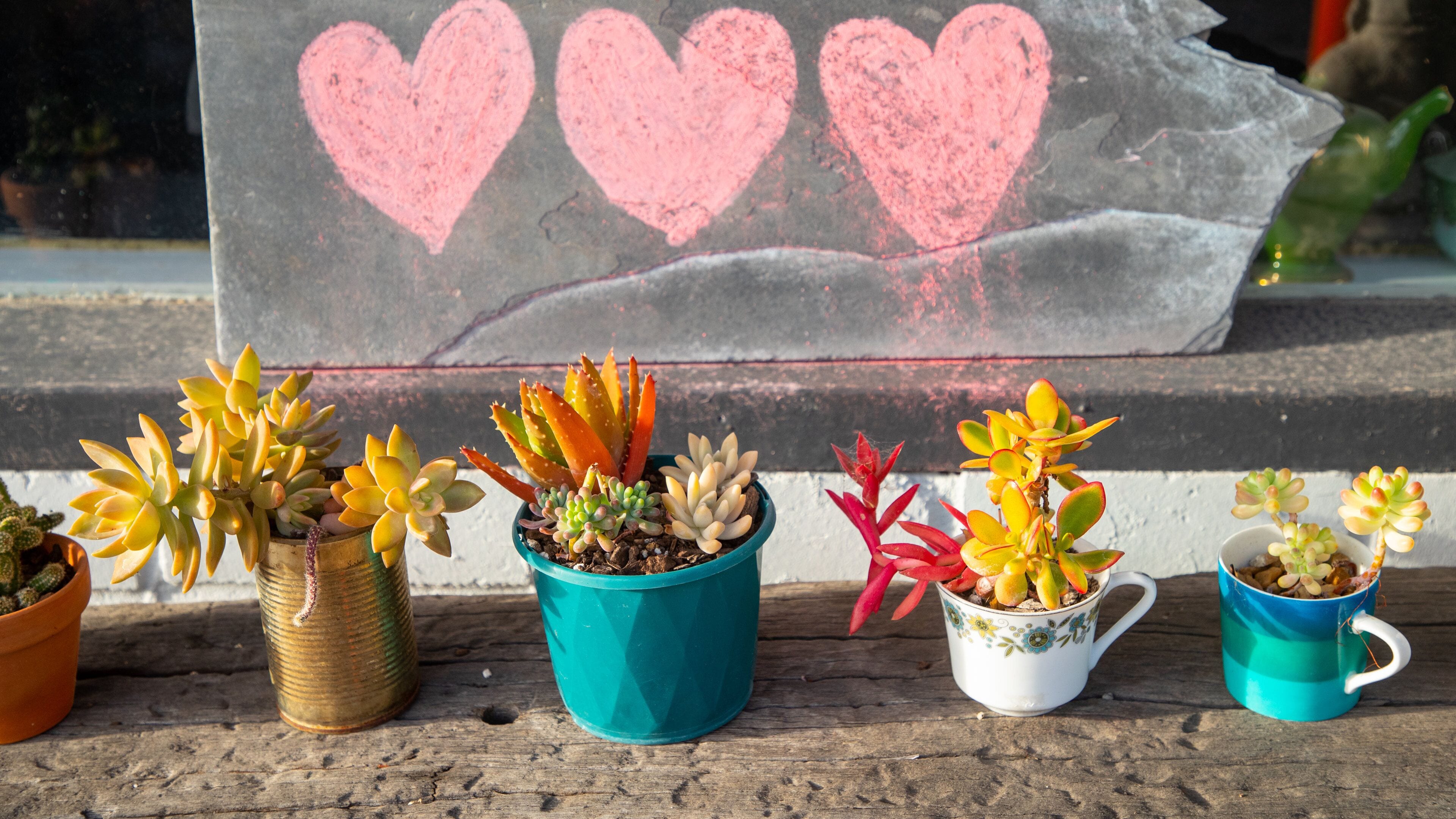 Uraidla which includes flowers