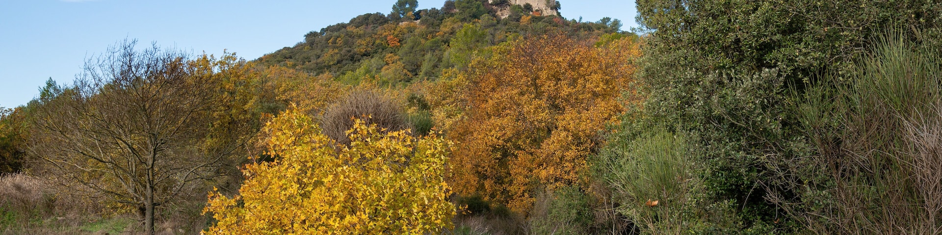 Ruins of the castle of Castellas, over Rocbaron and Forcalquieret in Provence, France, under a nice cloudy sky in winter