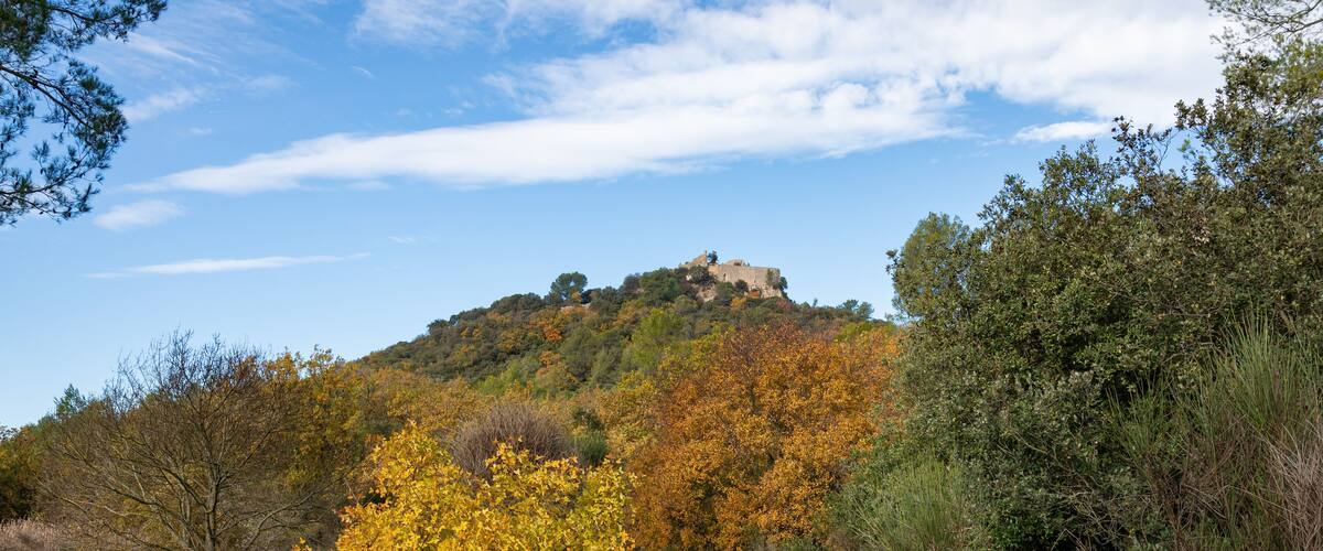 A hill with a castle on top, surrounded by autumn-colored trees and greenery.