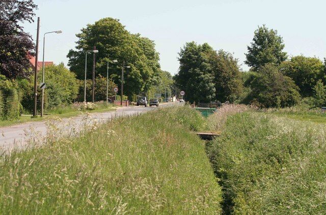 A rural road with a grassy verge, trees, and a clear sky.