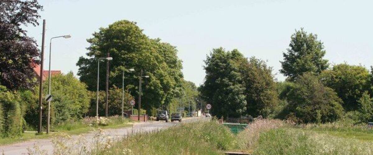 A rural road with a grassy verge, trees, and a clear sky.