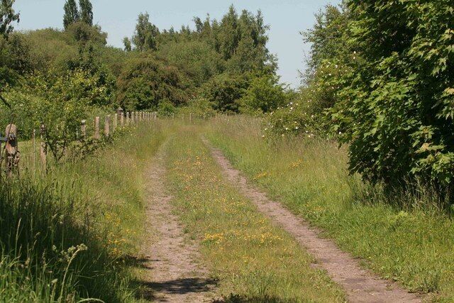 Once Haxey Station: This lead once to Haxey Station now a rural view. The railway to Doncaster is just on the right out of sight.