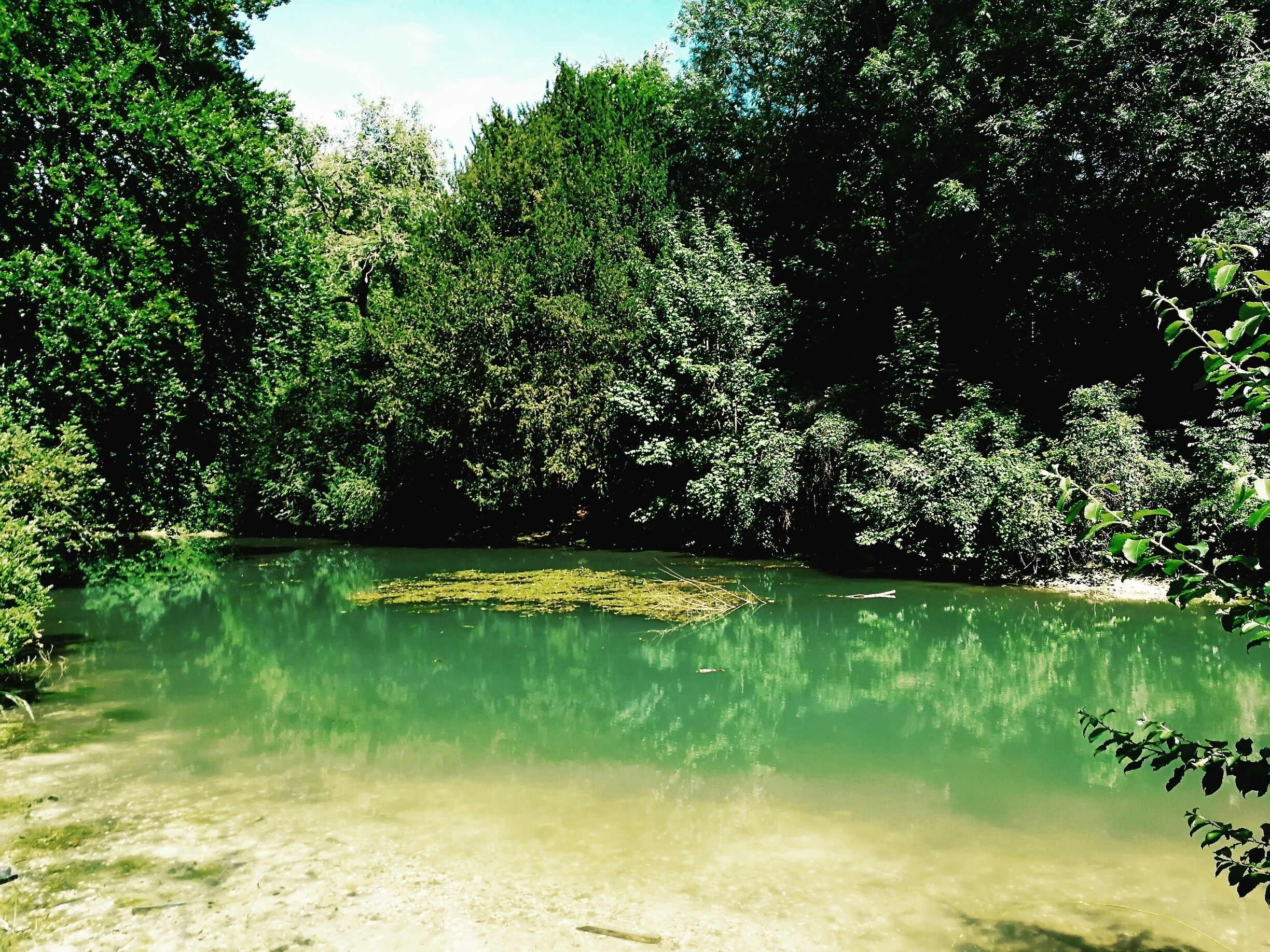 Incredibly beautiful spring  lake with spooky rumours and ties to ancient British legends nestled in the Surrey hills. There is a vineyard and a gin distillery next door on either side. Fantastic day trip #greenpools #lake #surrey