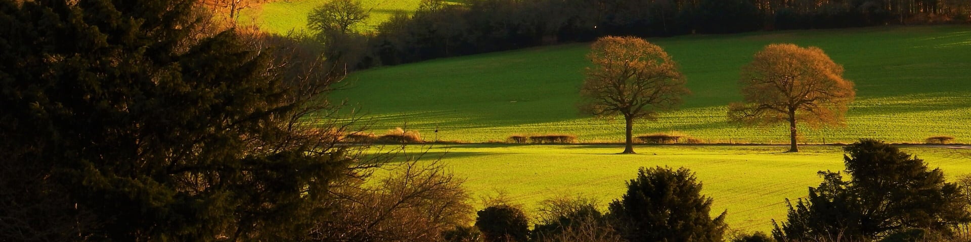 A beautiful view, with a large car park, cafe, and lots of forest and open grassland to walk with dogs. #perspective