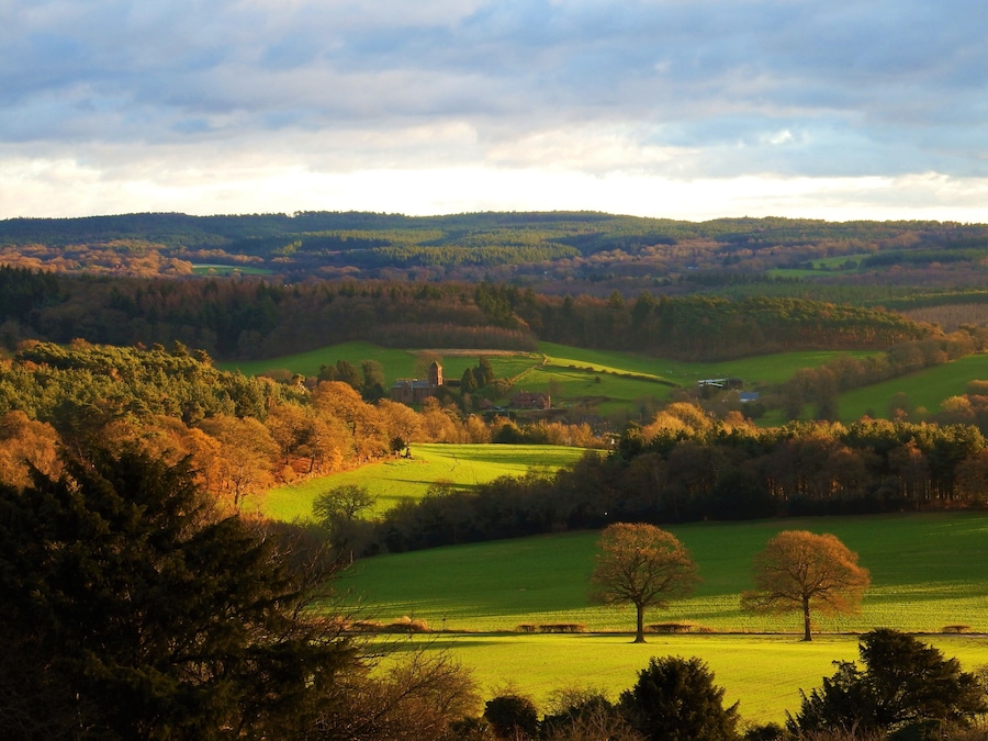 A beautiful view, with a large car park, cafe, and lots of forest and open grassland to walk with dogs. #perspective