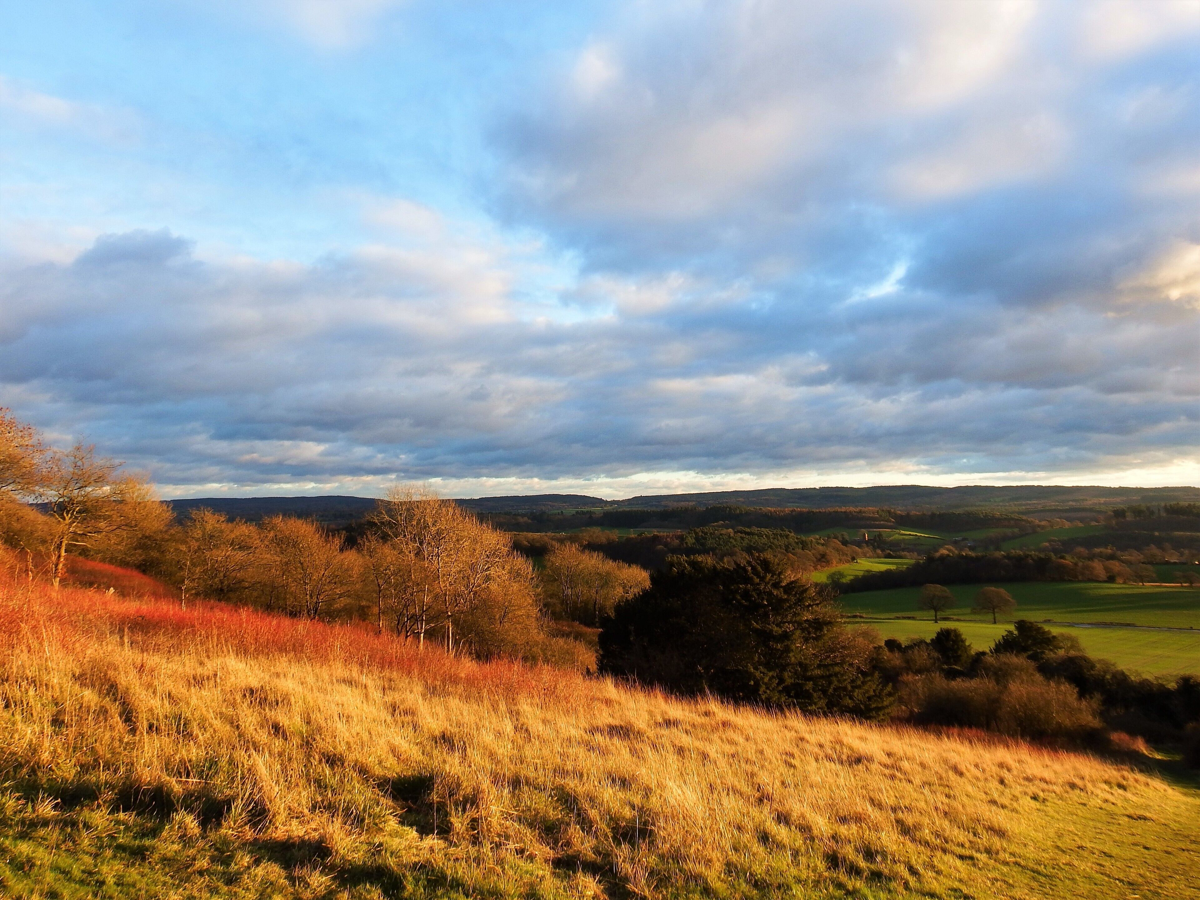 A landscape that has all the colours of the rainbow! Newlands Corner has a large car park and cafe, and looks due south, so best for  a golden sunny afternoon rather than sunset. #perspective 