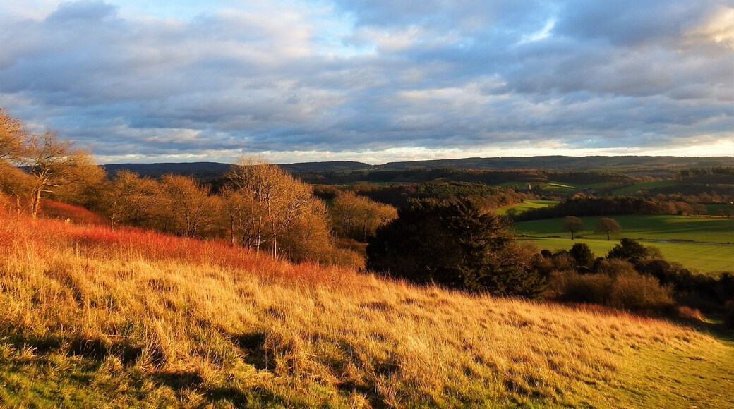 A landscape that has all the colours of the rainbow! Newlands Corner has a large car park and cafe, and looks due south, so best for a golden sunny afternoon rather than sunset. #perspective