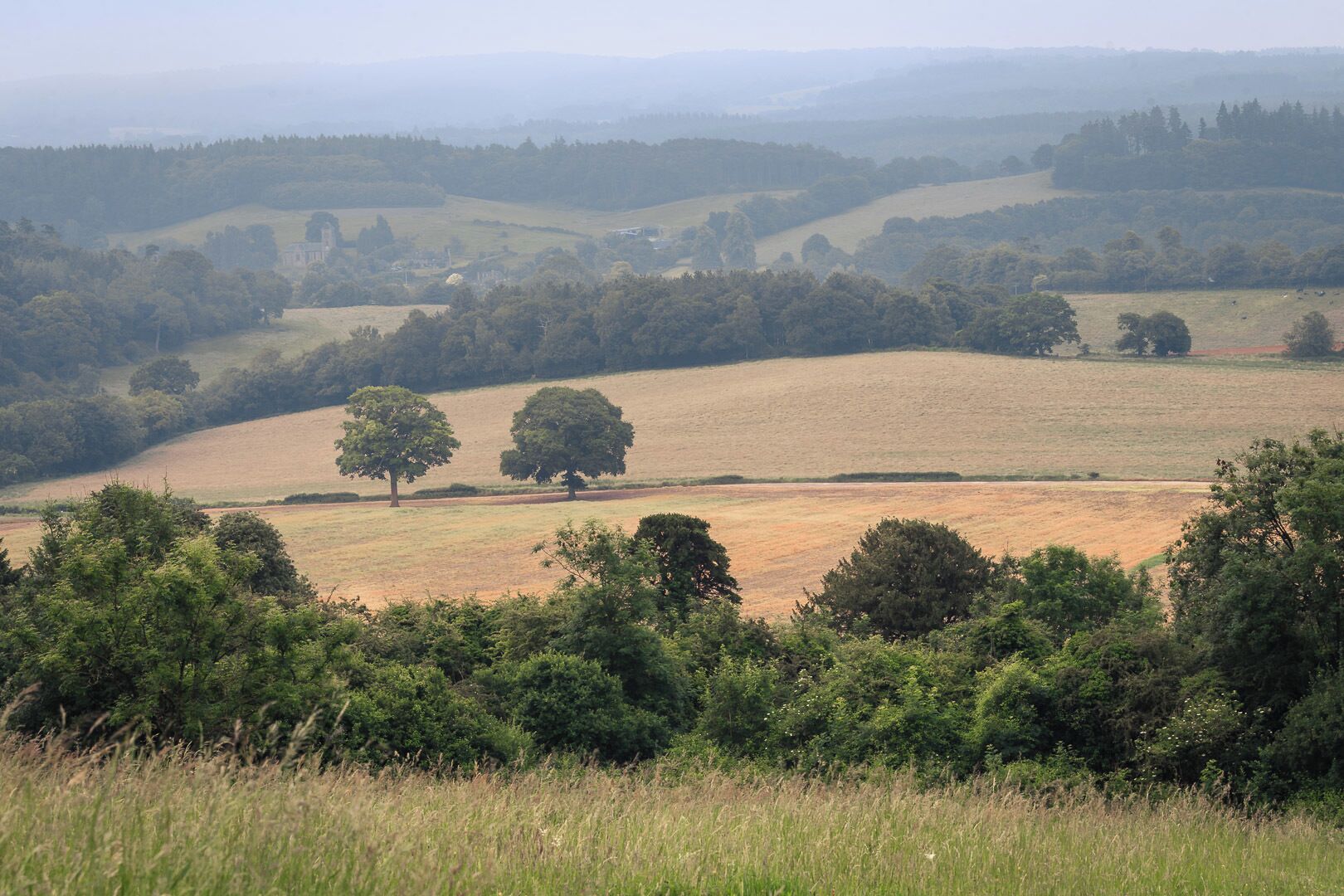 Nice place for a walk.