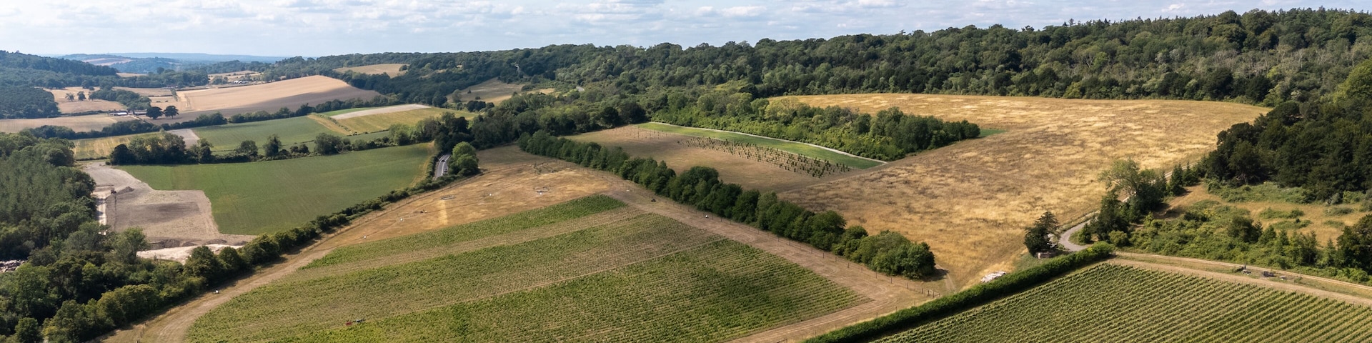 Aerial view of sun-kissed fields meet dense woodlands under a vast sky, creating a tapestry of green and gold, Guildford, England, United Kingdom.