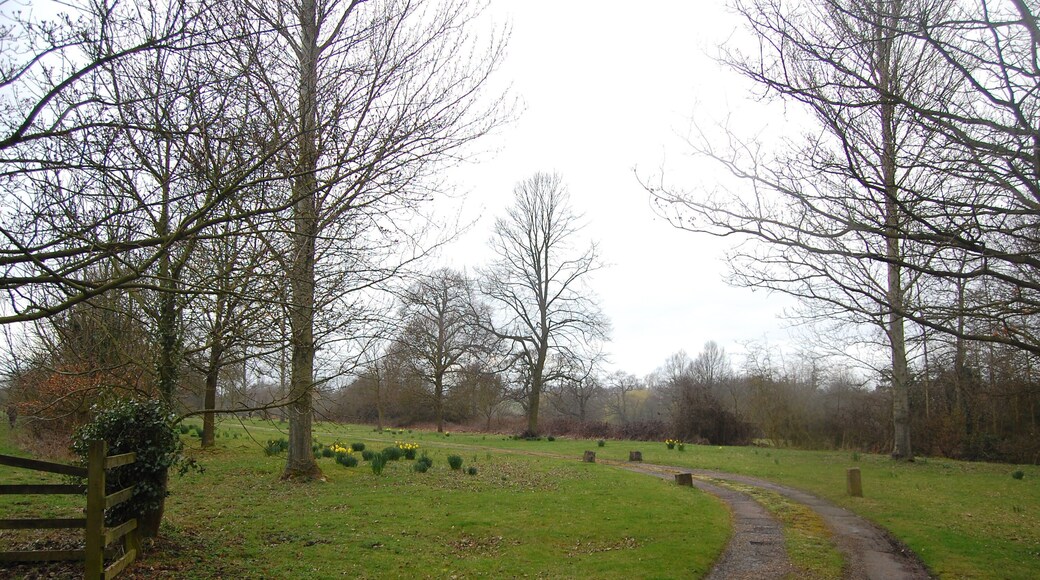 The Essex Way 19 The Essex Way crosses the track into the grounds of Greensted Hall.