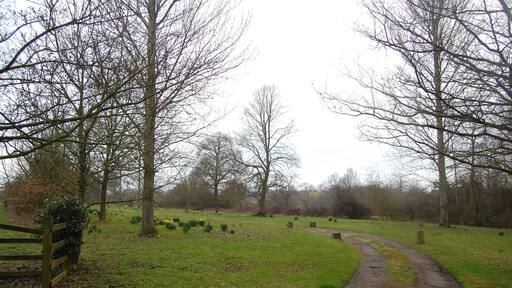 The Essex Way 19 The Essex Way crosses the track into the grounds of Greensted Hall.