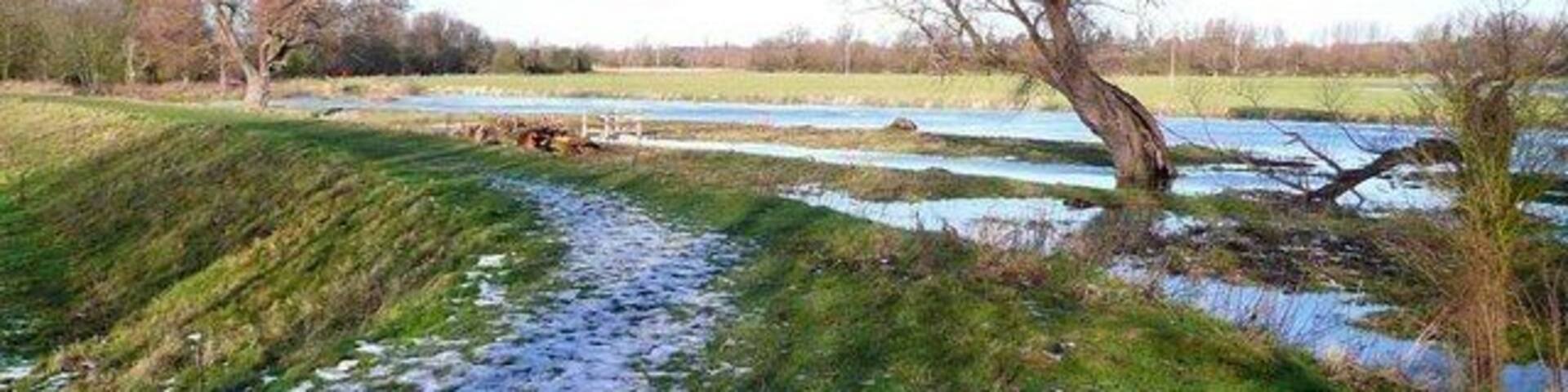 The path from Hemingford Abbots to Hemingford Grey The water high in the River Great Ouse in the background. The path is the track of an old mineral railway.