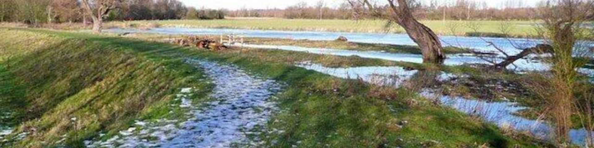 The path from Hemingford Abbots to Hemingford Grey The water high in the River Great Ouse in the background. The path is the track of an old mineral railway.