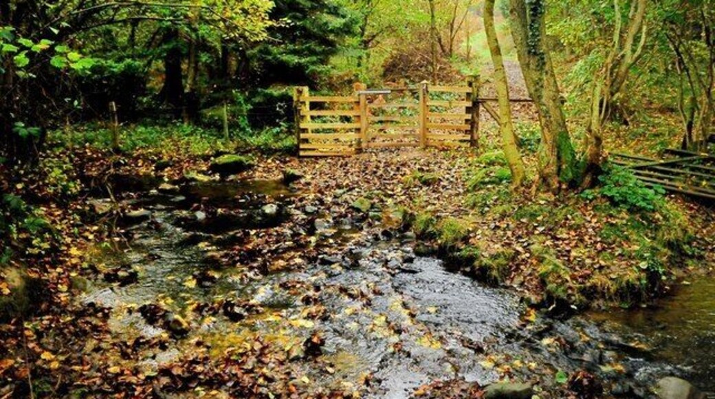 New Gate On the footpath north of Belle Isle Farm and heading to Brimford Wood.