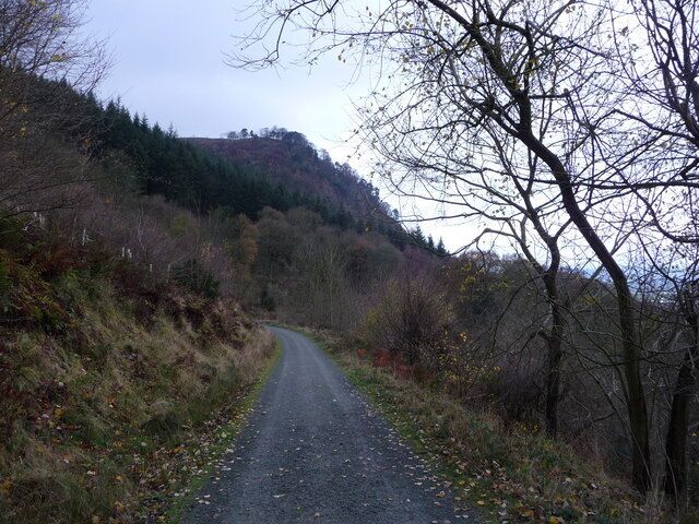 Forest trails below Breidden Hill The north and east sides of Breidden Hill are exceedingly steep and craggy.