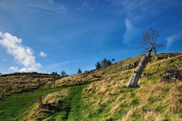 More Autumn Sky The tree stump leans back under the power of the late afternoon sun!