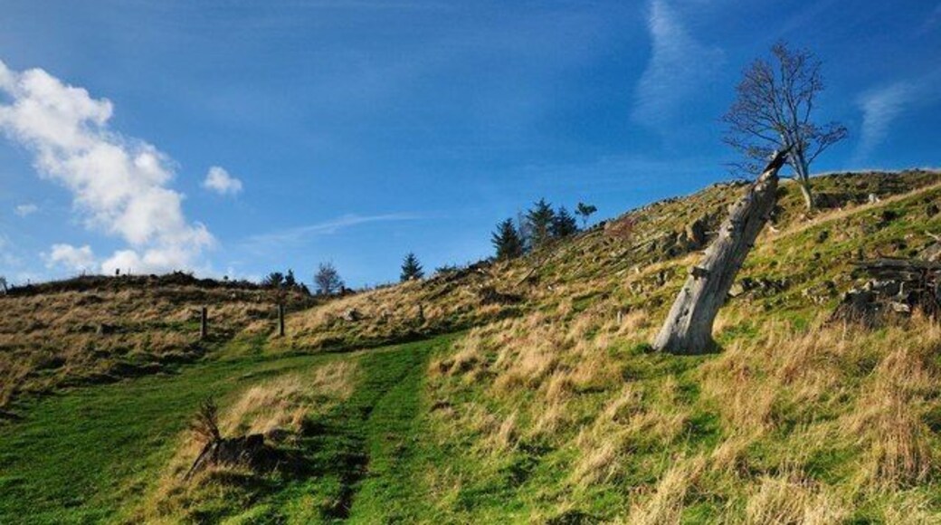 More Autumn Sky The tree stump leans back under the power of the late afternoon sun!