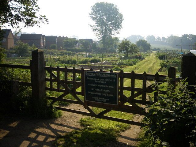 Early Morning. Allotment view taken early morning when dog walking