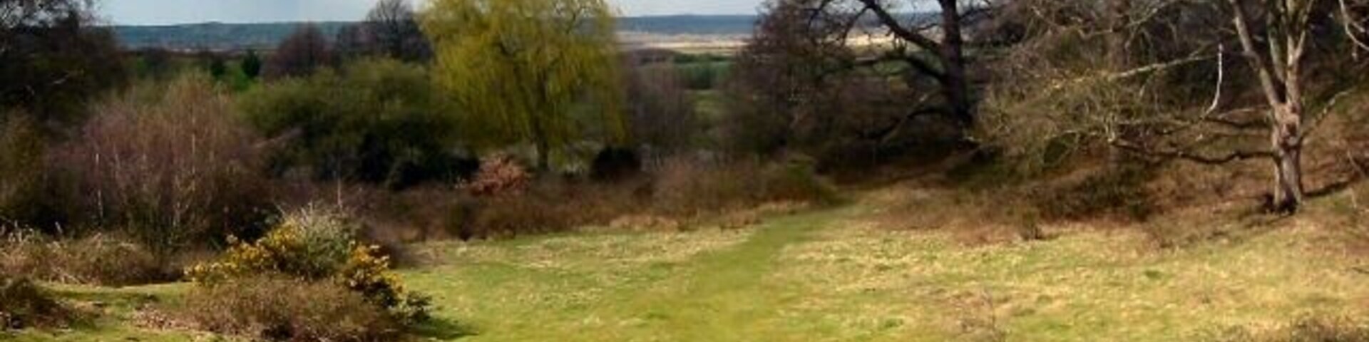 Ampthill Park A painterly view from the top of Ampthill Park looking towards Bedford. The park is teeming with rabbits.