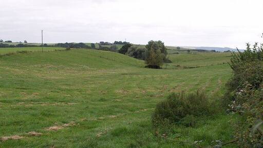 Valley near Odcombe The little valley descends from Odcombe to join a tributary of the Yeo near West Coker. Seen from beside the busy road from Odcombe to East Chinnock.