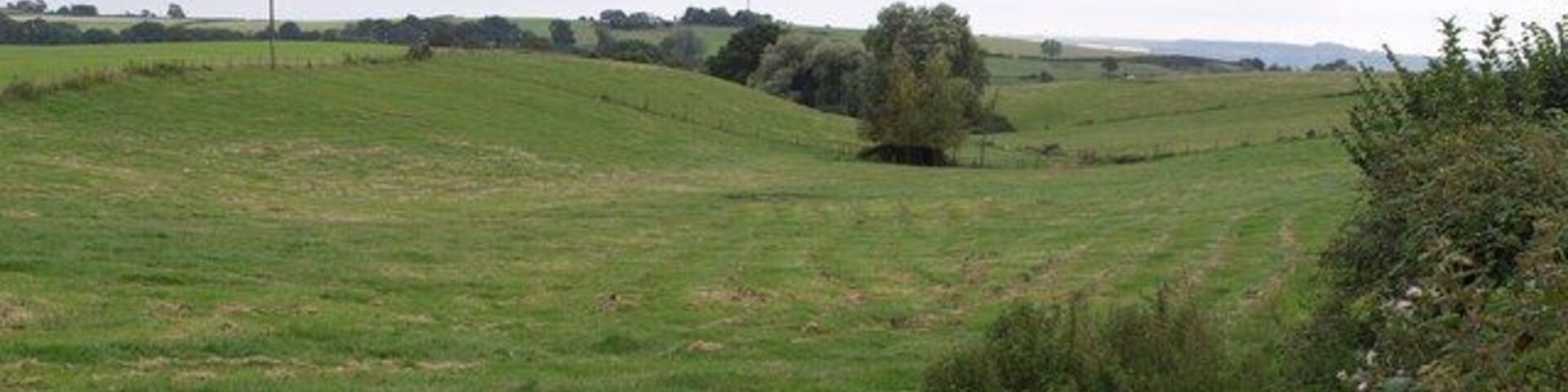 Valley near Odcombe The little valley descends from Odcombe to join a tributary of the Yeo near West Coker. Seen from beside the busy road from Odcombe to East Chinnock.