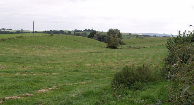 A grassy field with a small tree and a fence.