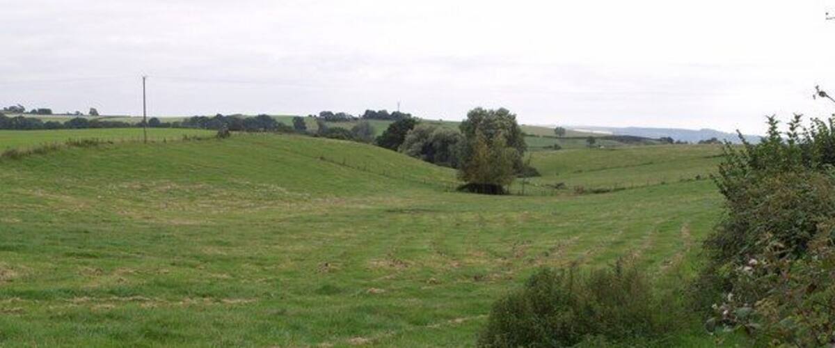 A grassy field with a small tree and a fence.
