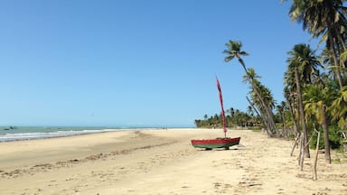 Praia Icaraí de Amontada