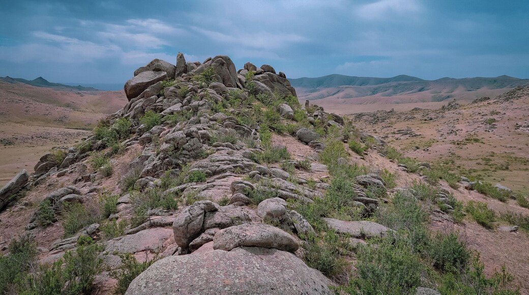 Wandering Hustai National Park in Mongolia was like taking a step back in time.
The landscape had a prehistoric feel and it was a place where you could see wildlife that, in other parts of Asia, is essentially gone - for instance, Przewalski's horse.
#adventure #mongolia #asia #nature