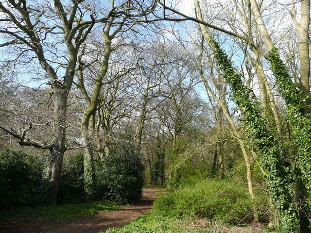Footpath into Fennell's Wood A patch of fine Chiltern beechwood surrounded be housing and bisected by the M40.