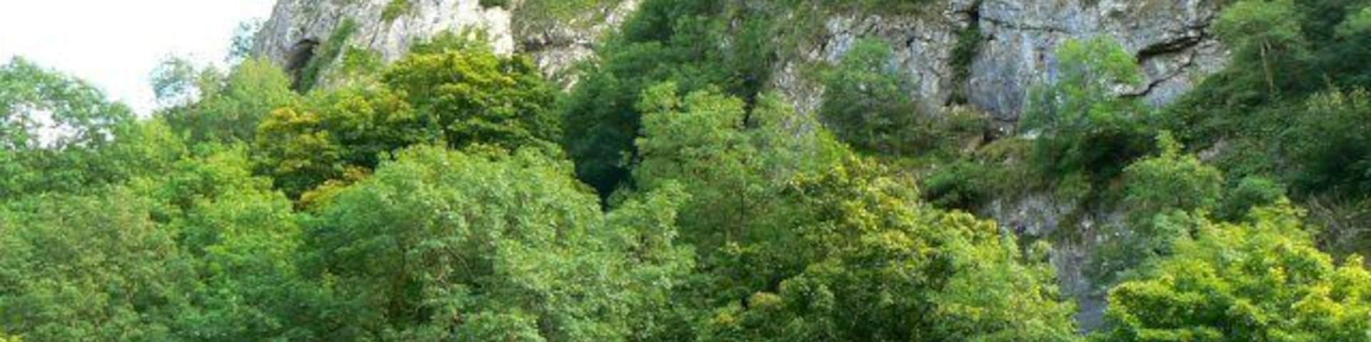 Limestone cliffs Prominent limestone cliffs and crags (many of which contain caves) above valley of the river Manifold.