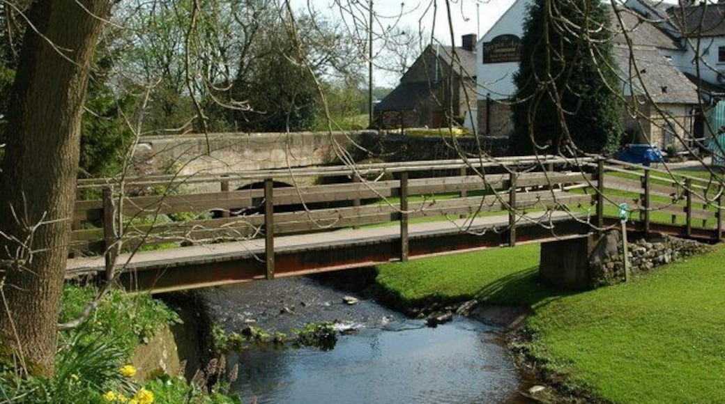 Footbridge in the pub garden