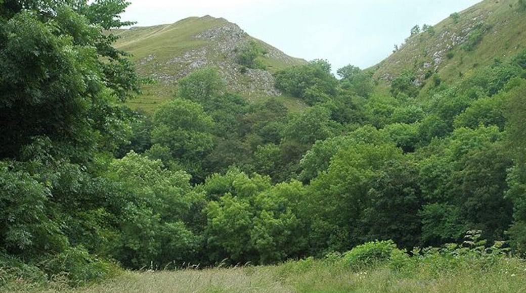 Woods & hills on beside the Manifold Trail