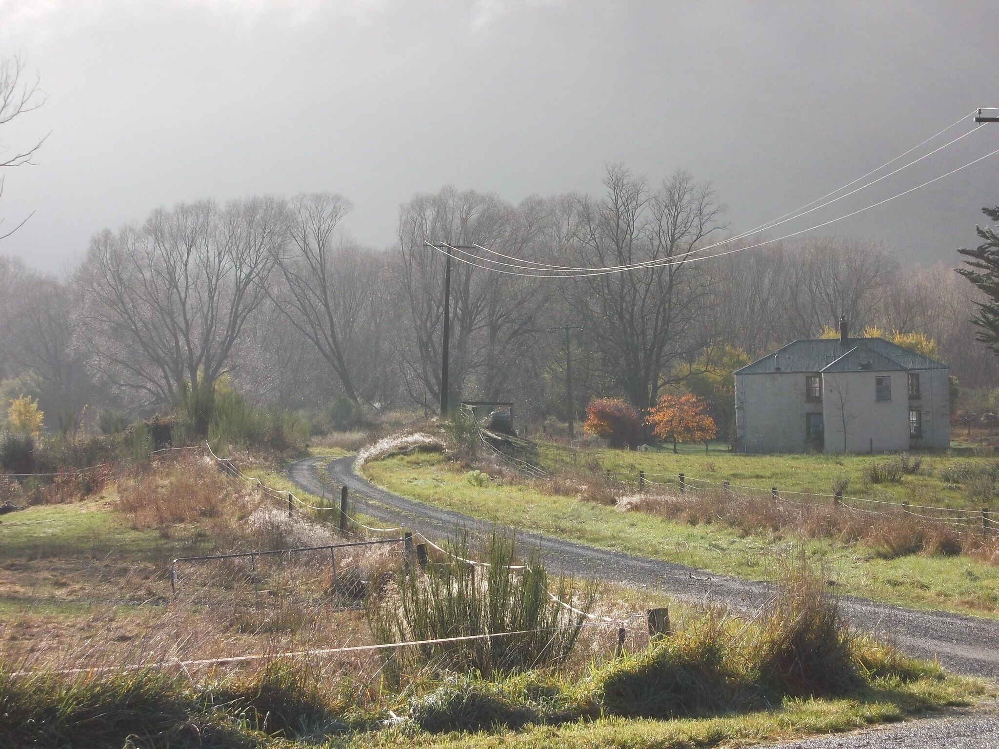 A rural landscape with a winding road, a small house, and leafless trees.