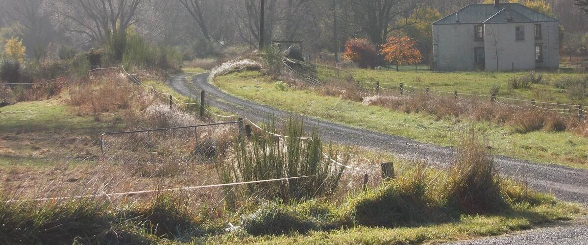 A rural landscape with a winding road, a small house, and leafless trees.