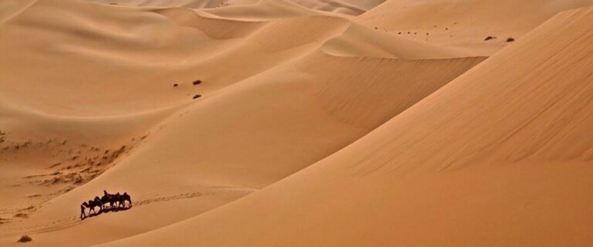 A desert landscape with sand dunes and a group of camels.