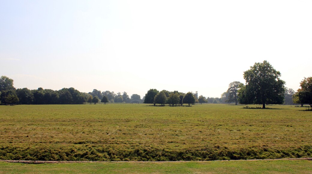 Photograph of the ha-ha in the grounds of Attingham Park, Shropshire, England