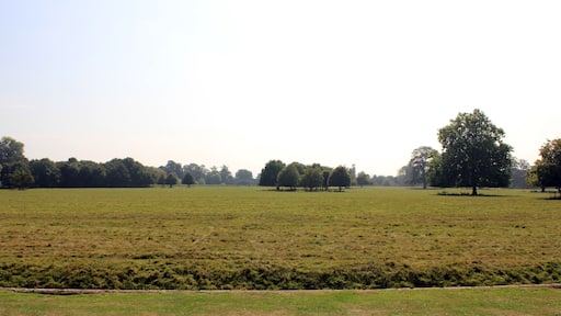 Photograph of the ha-ha in the grounds of Attingham Park, Shropshire, England