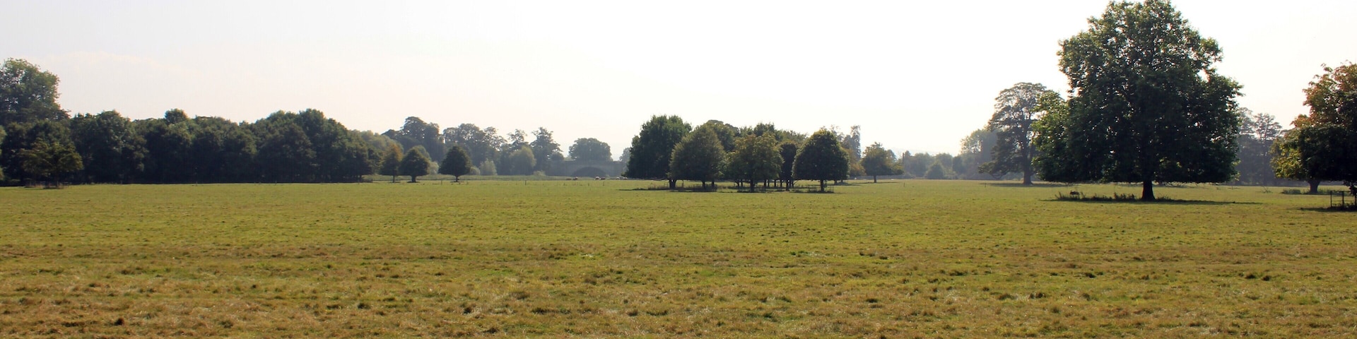 Photograph of the ha-ha in the grounds of Attingham Park, Shropshire, England