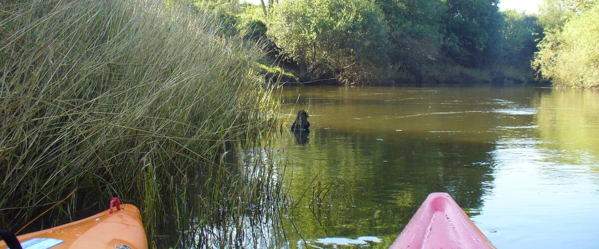 A calm river with kayaks and a person in the water.