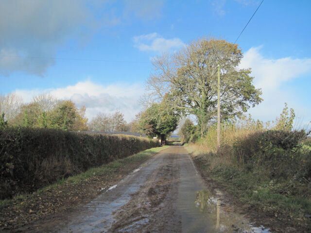 View along Haimwood lane towards kennels