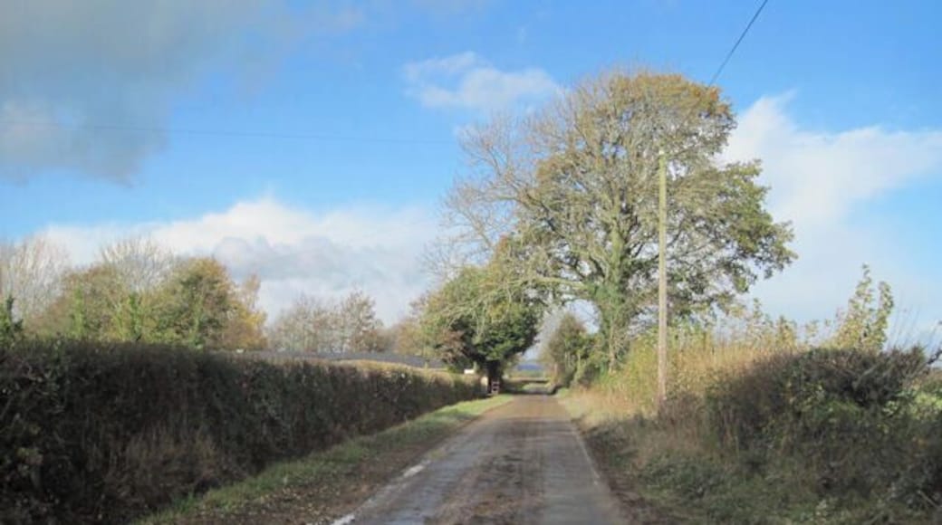 View along Haimwood lane towards kennels