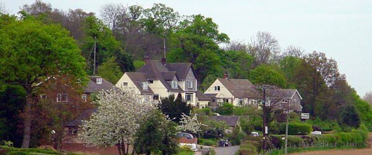 A rural landscape with a row of houses, green fields, and trees.