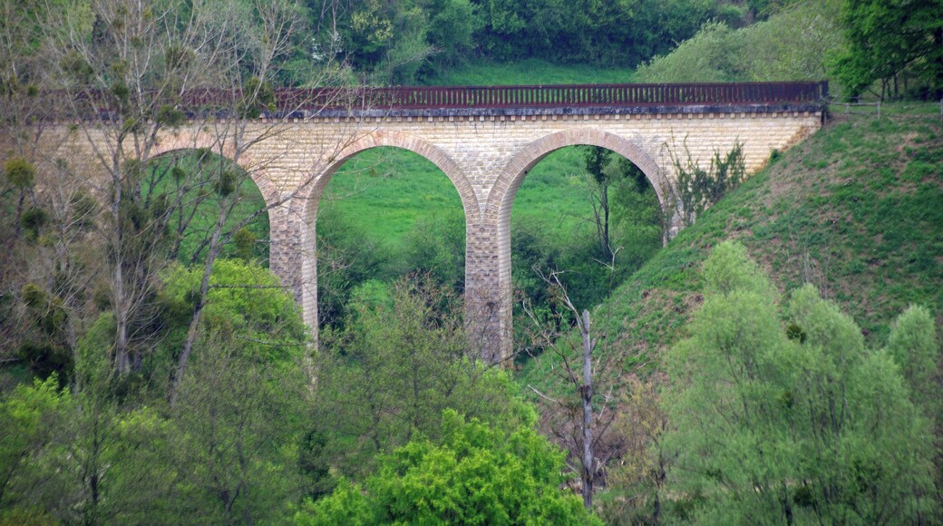 Chavin (Indre) Viaduc de Chavin La ligne ferroviaire d'Argenton-sur-Creuse à La Chaussée passait par le territoire communal, une gare desservait la commune. La ligne est inaugurée, le 18 octobre 1903. Le service voyageurs est arrêté en 1939, 36 ans après l'ouverture de la ligne. Le dernier train de marchandises y circule en 1952. Cette gare a été utilisée pour l'arrivée des matériaux de construction du barrage d'Éguzon.