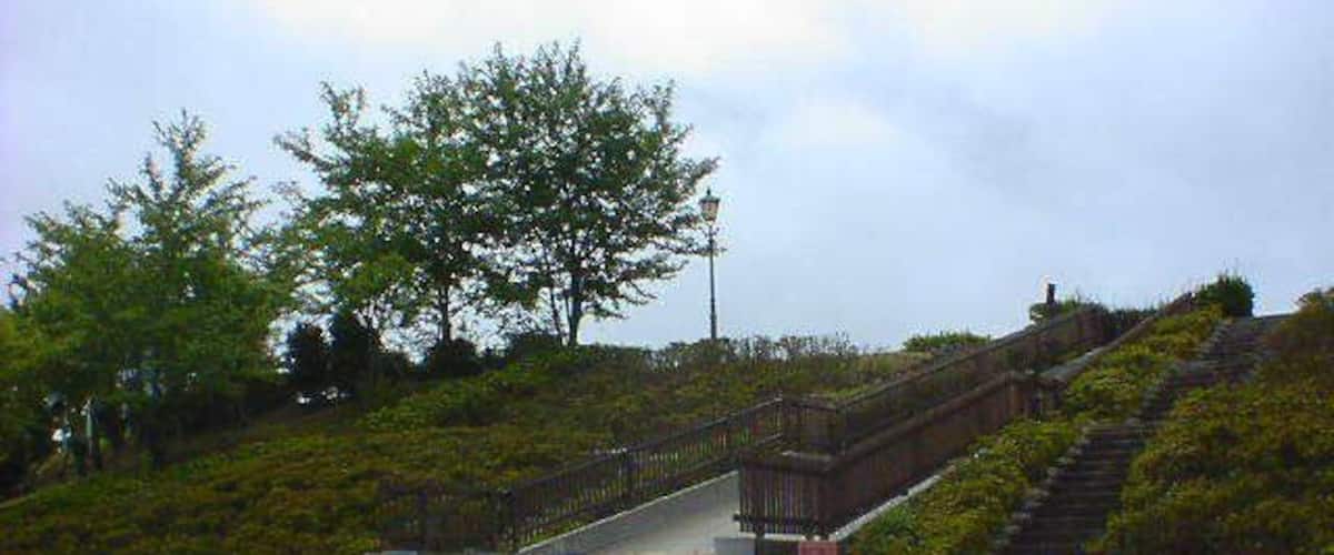 A stone staircase leading up a hill with a metal railing, surrounded by greenery.