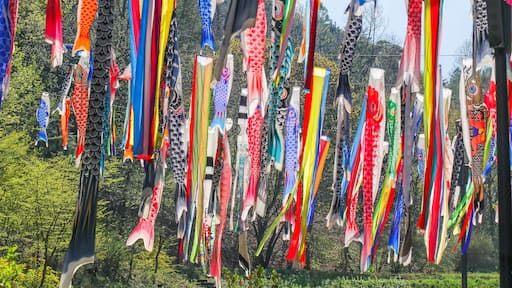 Colorful carp of Koinobori festival or carp-streamer kite to celebrate Children's Day in Nagano Prefecture, Japan.
