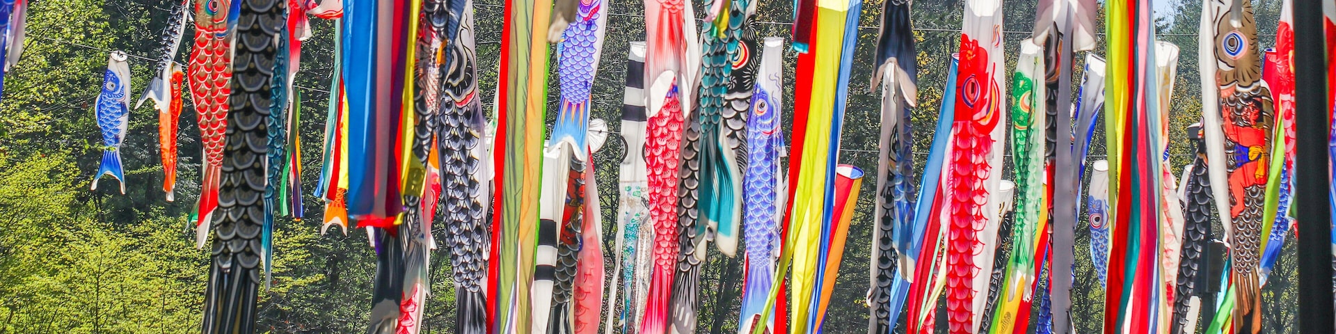 Colorful carp of Koinobori festival or carp-streamer kite to celebrate Children's Day in Nagano Prefecture, Japan.