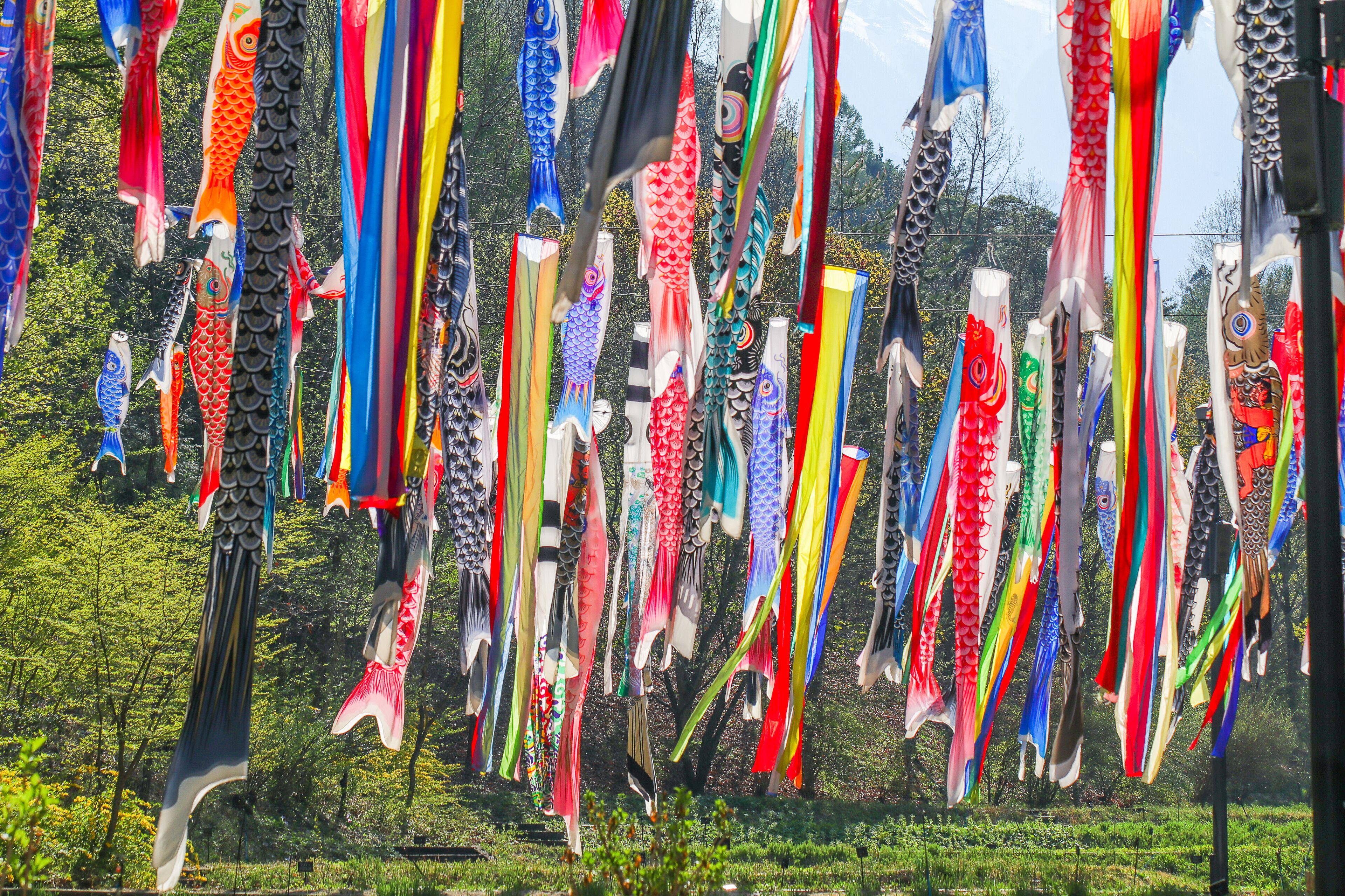 A variety of colorful kites in different shapes and sizes, hanging against a backdrop of green trees.