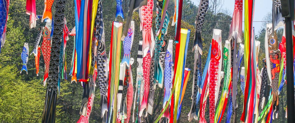 A variety of colorful kites in different shapes and sizes, hanging against a backdrop of green trees.