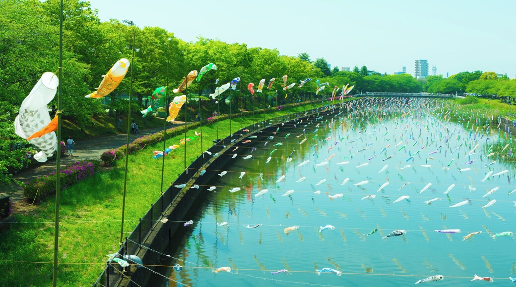 Koinobori at Tatebayashi, Gunma, Japan.